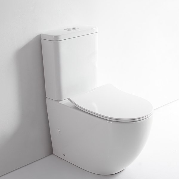 TOLO Rimless Toilet 06-T