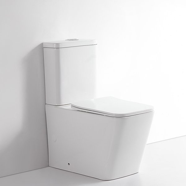 TOLO Rimless Toilet 07