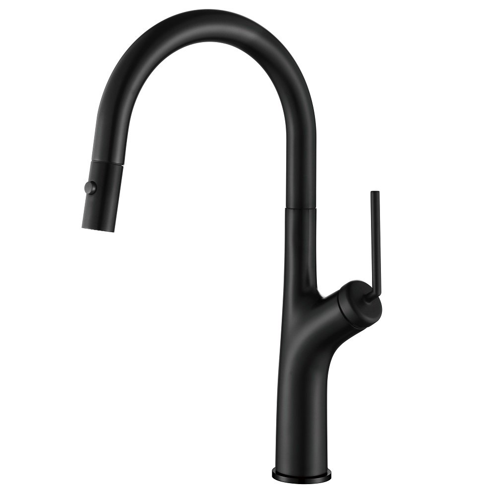 Black Kitchen Mixer 59705B