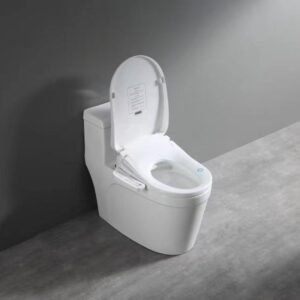 Smart Toilet Seat YF629G